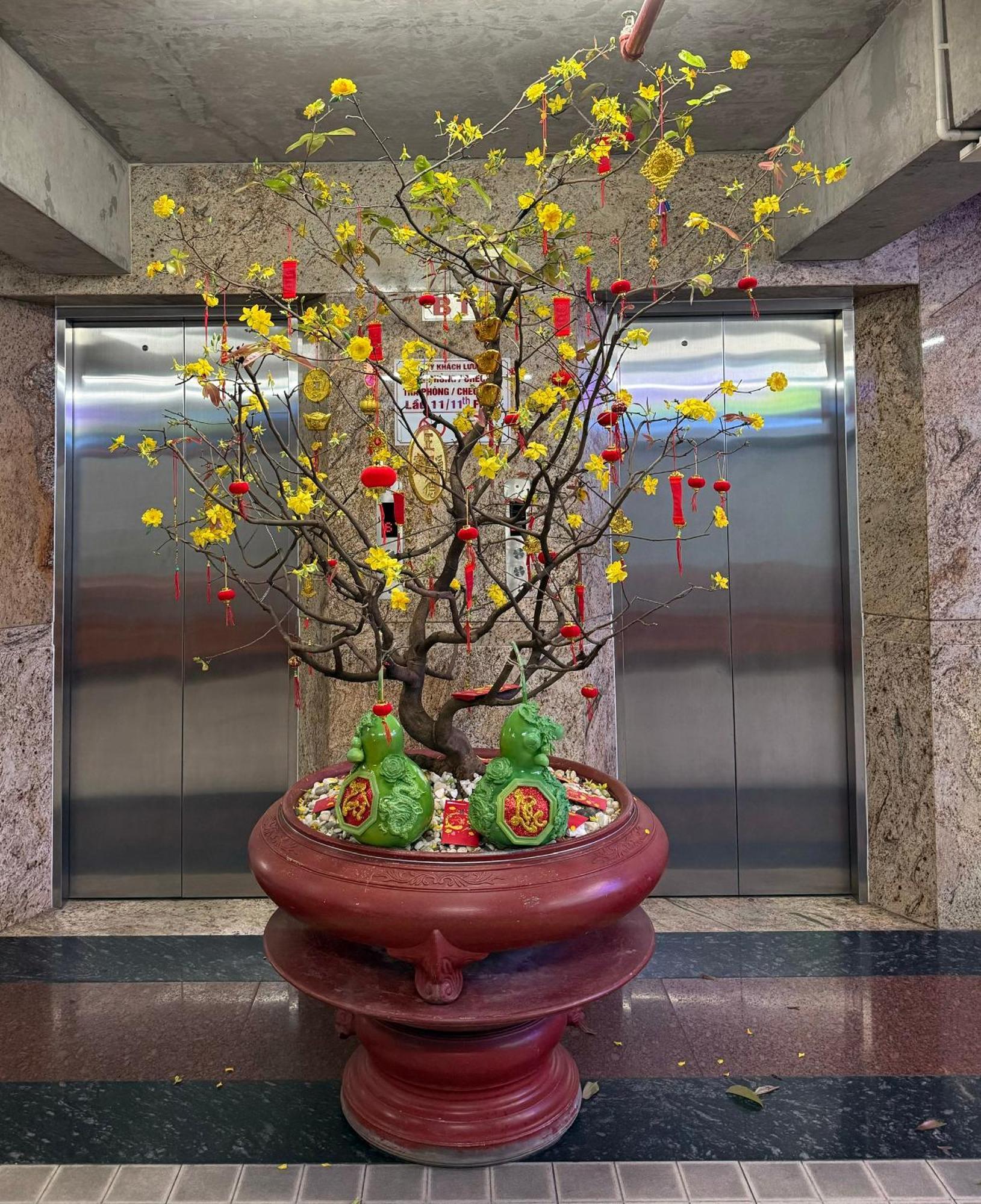 Thien Tai Hotel TP. Hồ Chí Minh Ngoại thất bức ảnh